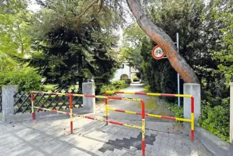 Provisorisch hat die Verbandsgemeinde das Pflaster vor der Großniedesheimer Schule geflickt. Der Nadelbaum, der darüber ragt, mu