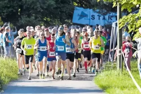 Kurz nach dem Startschuss: Das über 200 Läufer zählende Feld hat noch zehn Kilometer vor sich.