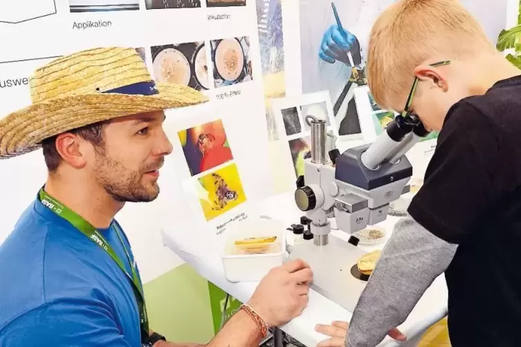 Forschung unter Expertenanleitung: Kinder k&ouml;nnen unter dem Mikroskop Schadinsekten entdecken.