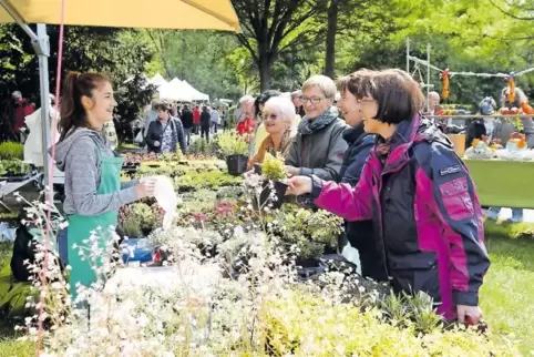 In der gesamten Südpfalz gibt es am Pfingstsonntag offene Gärten, in Bellheim die Gartentage (Foto) im Spiegelbach-Park.