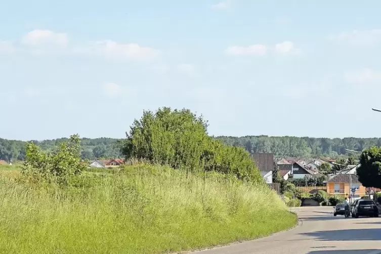 Nicht auf den ersten Blick als Hohlweg erkennbar: Die Speyerer Stra&szlig;e in Mechtersheim wurde asphaltiert.