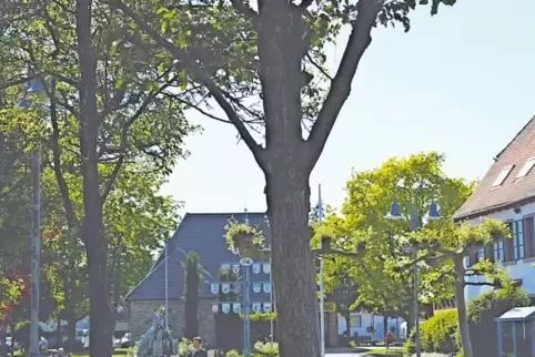 Grün, historisch, beliebt: Berghausens Zentrum mit Brunnen, Zehnthaus und altem Bürgermeisteramt ist gut besucht.