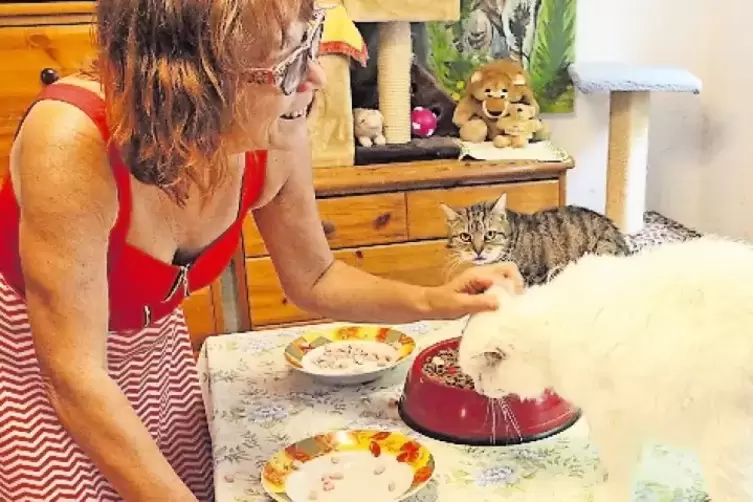 Birgit Bosch ist die stellvertretende Vorsitzende der Tierinsel.