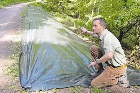 Im Finstertal sind mehrere Flächen mit schwarzen Folien abgedeckt. Diese sind lichtundurchlässig und verhindern die Photosynthes