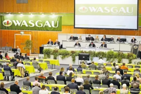 Eine hundertprozentige Zustimmung gab es von der Hauptversammlung gestern für die Arbeit von Vorstand und Aufsichtsrat der Wasga