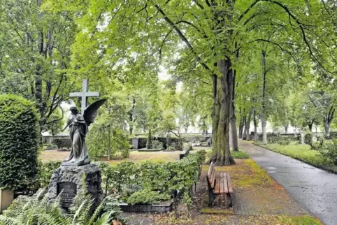 Wie es mit dem Friedhof in Eppstein weitergeht, möchte der für das Bestattungswesen zuständige Eigen- und Wirtschaftsbetrieb dem