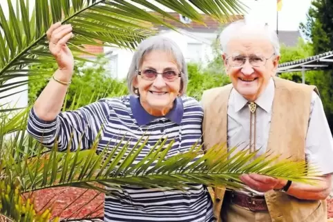 Haben die Palme zu ihrem Hochzeitstag von einer Nachbarsfrau geschenkt bekommen: Anna und Otto Haaf aus Berghausen.