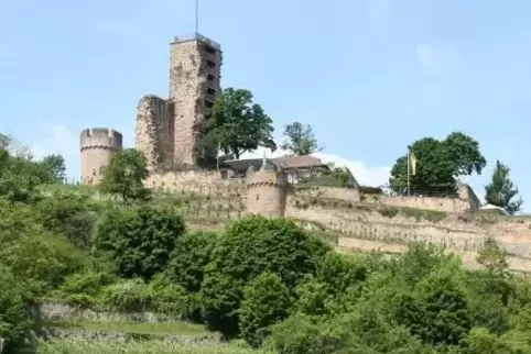 Die Wachtenburg bei Wachenheim – vielleicht ja bald verstärkt besucht von den Schwetzingern. Archivfoto: Franck 
