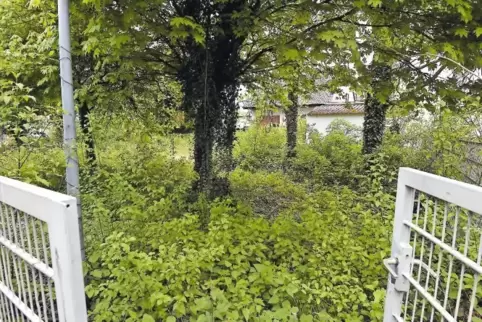 Die Fläche des ehemaligen Bürgergartens in Maxdorf ist künftig als Wohngebiet im Flächennutzungsplan der Verbandsgemeinde reserv