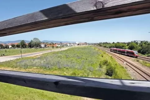 In der Nähe der Holzbrücke über die Bahn, hier ein Blick durchs Geländer, will das MVZ neu bauen.