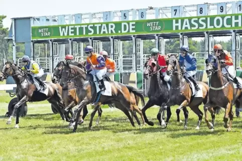 Spannung pur: Start zum ersten Rennen.