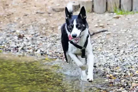 Immer wenn jemand ins Wasser geht, schiebt er den Kies beiseite. Irgendwann liegt die Ton-Schicht frei und wird beschädigt. Bade