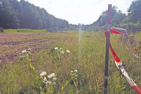 Der Wertstoffhof zieht um vom Ende der Schwarzbachstraße weiter nach vorne auf die freie Fläche am Bauhof.