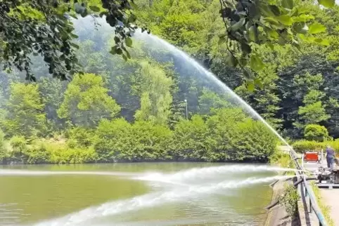 Über viereinhalb Stunden pumpte die Bad Bergzaberner Feuerwehr am Dienstag Frischwasser in den Schwanenweiher.