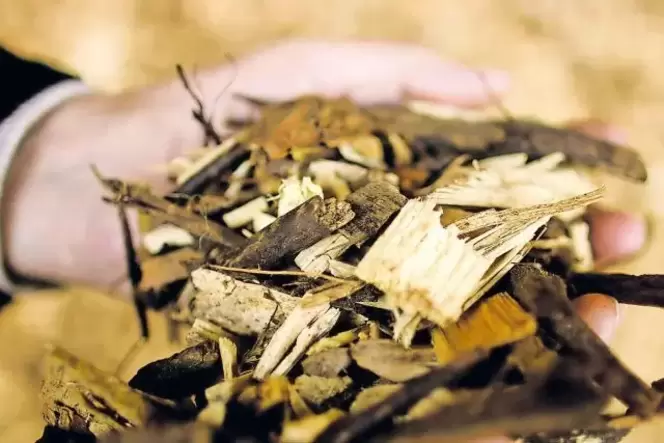 Inzwischen heizen 66 Haushalte mit Wärme aus dem Holzhackschnitzelheizwerk. Inzwischen heizen 66 Haushalte mit Wärme aus dem Holzhackschnitzelheizwerk.