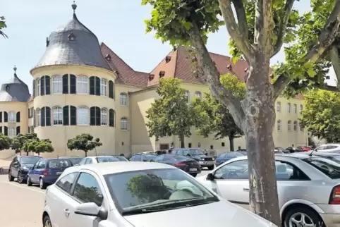 Zwei normale Ladestationen für E-Autos und eine Schnellladestation sind in Bad Bergzabern geplant. Eine Station soll auf dem Par