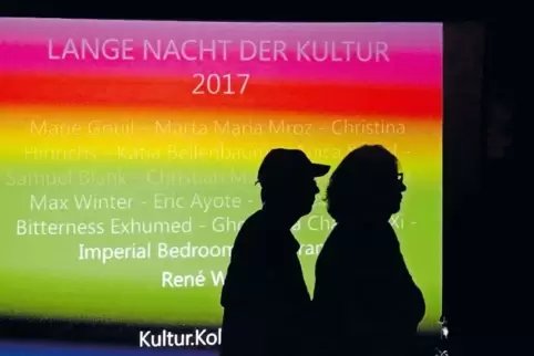 Kunst und Videoclips auf Projektionsleinwand: Open-air-Aktion des Kultur.kollektivs auf dem Rasen vor dem Pfalztheater.