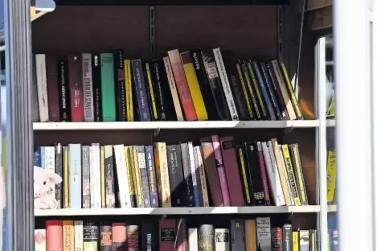 Öffentliche Bücherschränke gibt’s bereits in vielen deutschen Städten. Dieses magenta-graue Exemplar steht in Potsdam.
