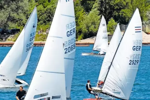 Sonne pur und viel Wind: Die Regattateilnehmer freuten sich über gute Segelbedingungen.