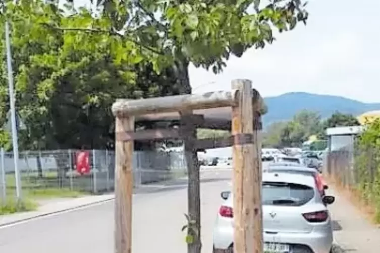 Baumscheibenversch&ouml;nerung in der Nachtweide.