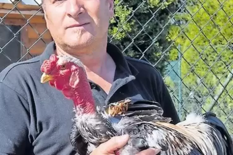 Joachim Gottschang mit einem Madagaskar K&auml;mpfer