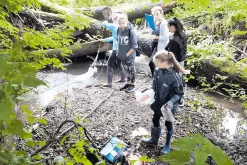 Eifrig bei der Sache: Schüler dreier Klassen beim Müllsammeln.