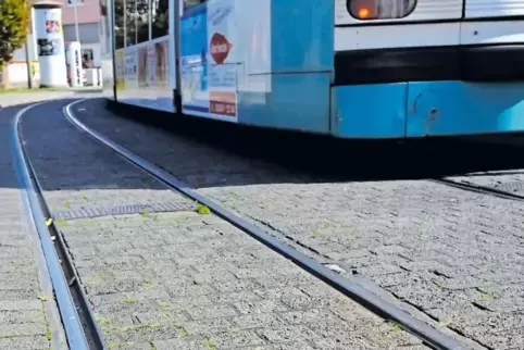 Derzeit prüft der Landesbetrieb Mobilität die Finanzierung des Ausbaus der Linie 10 in Friesenheim. Ab 2019 soll gebaut werden.
