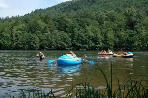 Beliebter Badeweiher: der Seehof bei Erlenbach. Die Kreisverwaltung hatam Mittwoch eine Warnung herausgegeben.   Archivfoto: Buc