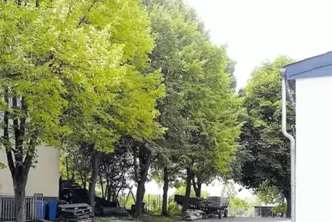 Bürgermeister Lethen hat beim Kreis eine Baulast für Parkplätze am Dorfgemeinschaftshaus eintragen lassen – allerdings ohne gült