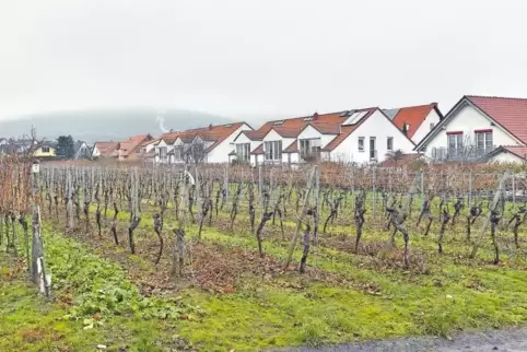 Forst ist die kleinste Gemeinde der Verbandsgemeinde Deidesheim mit entsprechend kleinem Gasnetz. Aber zusätzliche Bauplätze sin