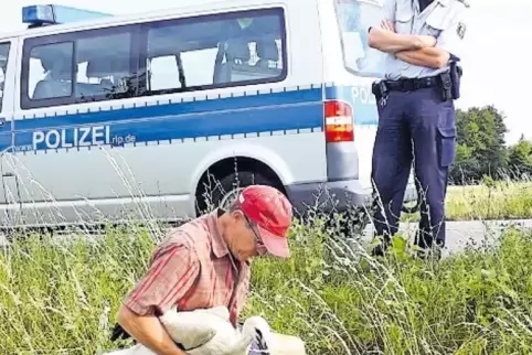 Bei einem Zusammenprall mit einem Auto ist dieser Storch schwer verletzt worden. Manfred Sauter kümmert sich um ihn.
