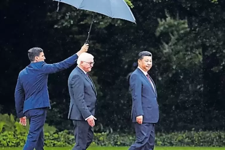 Politik mit Schirm: Bundespräsident Steinmeier empfängt Chinas Präsident Xi.