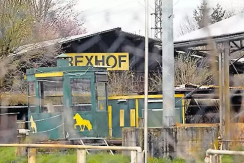 Auf dem Rexhof soll auch eine Pferde-Klinik entstehen.