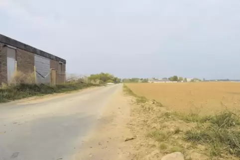 Wer von Böhl-Iggelheim nach Dannstadt will, könnte am Münchhof vorbeifahren. Die früheren Pläne sahen vor, dass der Weg zur Krei