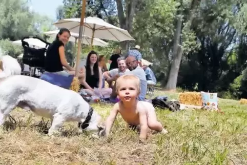 Auf Entdeckungstour: Auch Hündchen und Baby erkunden beim Godramsteiner Picknick-Fest die Queichwiese – auf allen Vieren.