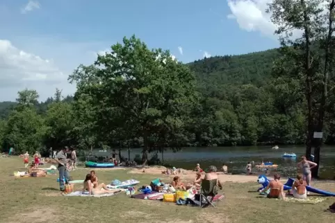 Im Seehof-Weiher ist die Algenentwicklung zurückgegangen. Hier kann wieder bedenkenlos gebadet werden. ArchivFoto: Buchholz 