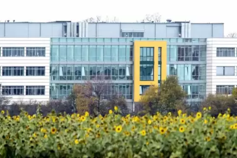 In der Forschung beschäftigt die BASF weltweit rund 10.000 Mitarbeiter, 4900 davon in Ludwigshafen und im Agrarzentrum Limburger