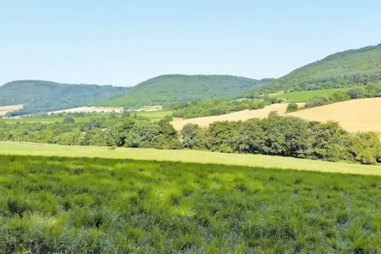Blick auf die Preu&szlig;ischen Berg kurz vor Burg Lichtenberg.