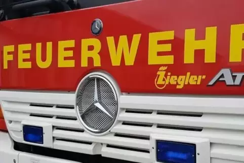  Symbolfoto: Hecht 