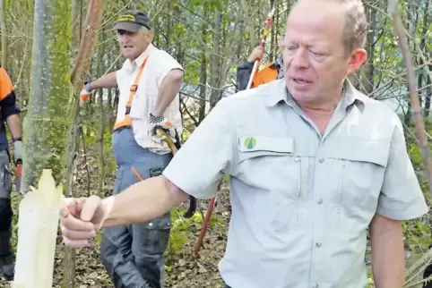 Bernhard Hettesheim (vorne) ist einer von zwei Waldtrainern in Rheinland-Pfalz. Bäume, die einen „Z-Baum“ (Zukunftsbaum) verdrän