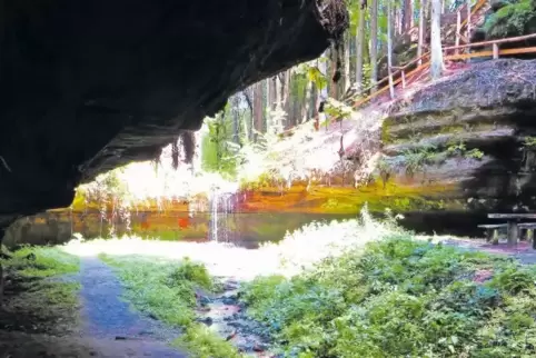 Beim Eintauchen in den von Wasserkraft ausgespülten Felsenkessel im Odenbachtal werden alle Sinne angesprochen. Es zieht den Wan