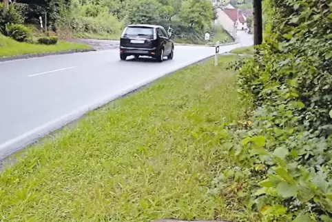 Auf 100 Kilo brachte es der Keiler, der bei einem Wildunfall bei Ramberg ums Leben kam.