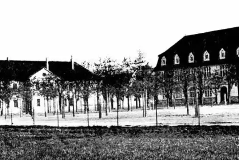 Von der Allee in der Schillerstraße gibt es im Archiv keine Fotos mehr – dafür aber ein historisches Bild von der einst üppigen 