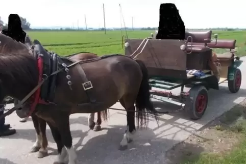 Doppelspännige Kutsche (Modell: Landauer-Nachbau). Foto: Polizei 