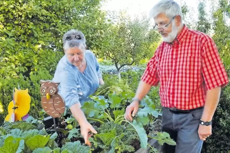 Gärtnern mit Begeisterung: Gerlinde und Gerhard Scheler in ihrem Kleingarten am Baalborner Weg.