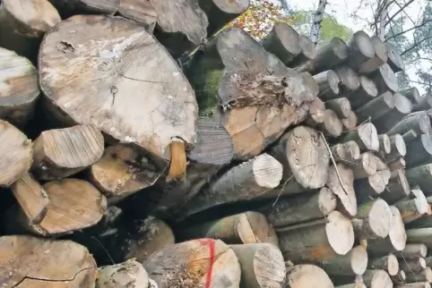 Die Vermarktung von Holz aus Privat- und Kommunalwald übernehmen bisher die staatlichen Förster.