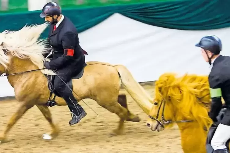 Das Zweibrücker Landgestüt ist Gastgeber vieler Pferdesportveranstaltungen, hier das Islandpferde-Festival im März.