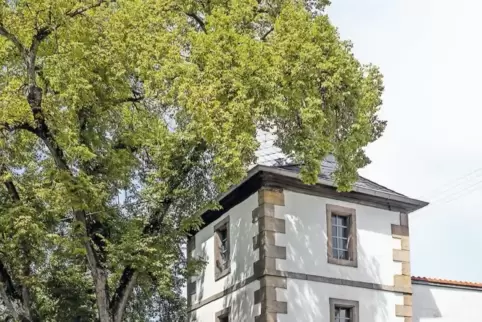 Neben der Linde: der Steinbacher Glockenturm.