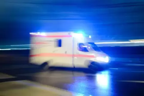 Die Polizisten nahmen dem Mann vorsichtshalber den Autoschlüssel ab.  Foto: dpa