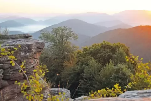 Eines der Ziele bei der Wanderwoche ist die Wegelnburg bei Nothweiler, mit 570 Metern die höchst gelegene Burgruine der Pfalz mi